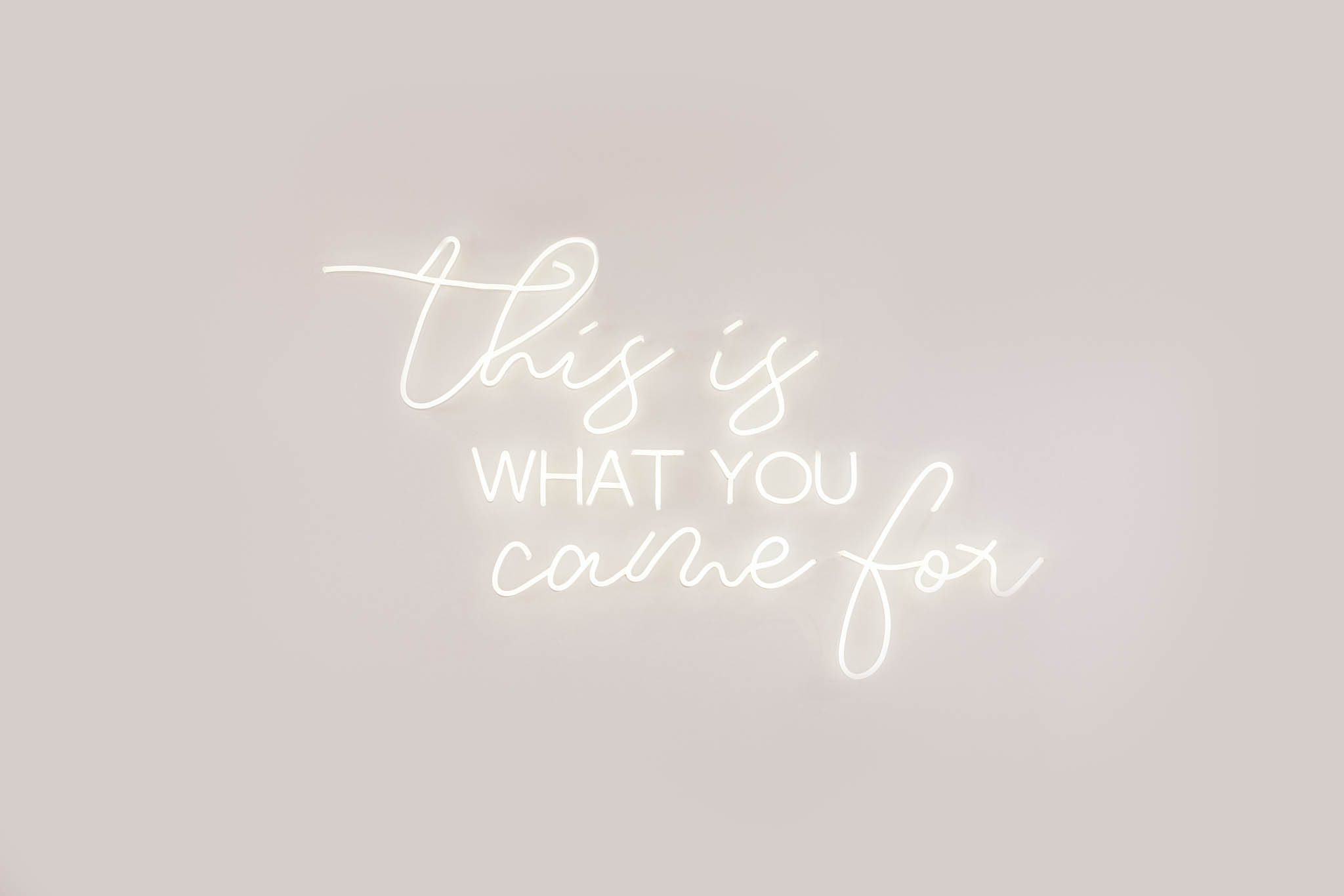 Revelle Bridal This is what you came for neon signs Luxe experience wedding store bridal shop