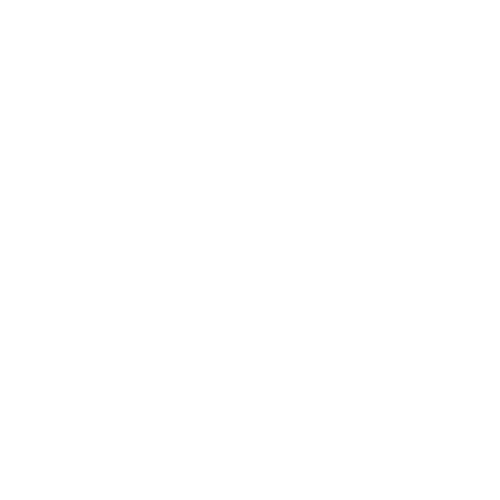 Reve by revelle logo